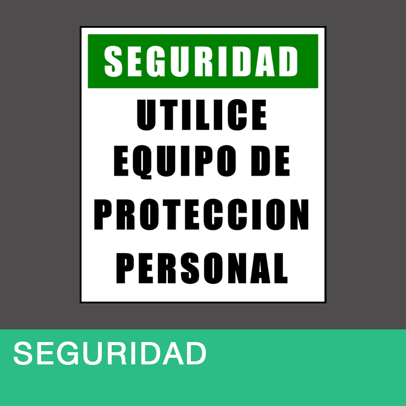 Seguridad